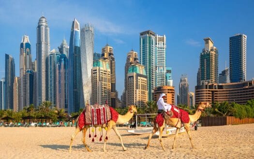 bất động sản Dubai – Mina Properties