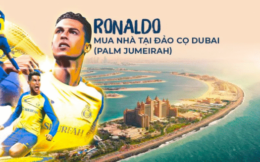 bất động sản Dubai – Mina Properties