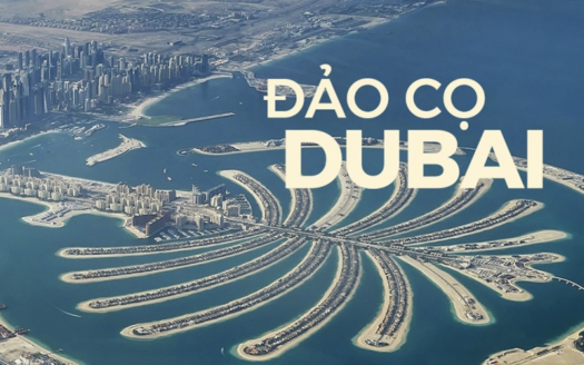 bất động sản Dubai – Mina Properties