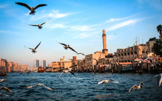bất động sản Dubai – Mina Prime Properties