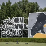 bất động sản Dubai – Mina Prime Properties
